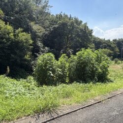 吉見町長谷 戸建