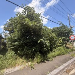 吉見町田甲 売地