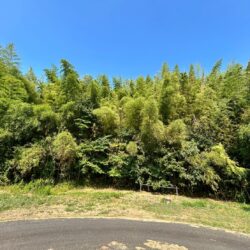 滑川町福田 土地